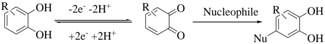 圖  9. Catechol 氧化成 o- benzoquinone 與 Nucleophile 反應機制  且此一氧化還原對又會因catechol苯環上的取代基不同而有所不 同，若catechol本身苯環上的取代基就具有親核性時，如dopamine，