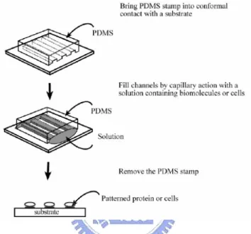 Figure 1.1 Illustration of the procedure used to pattern proteins using  microfluidic channels