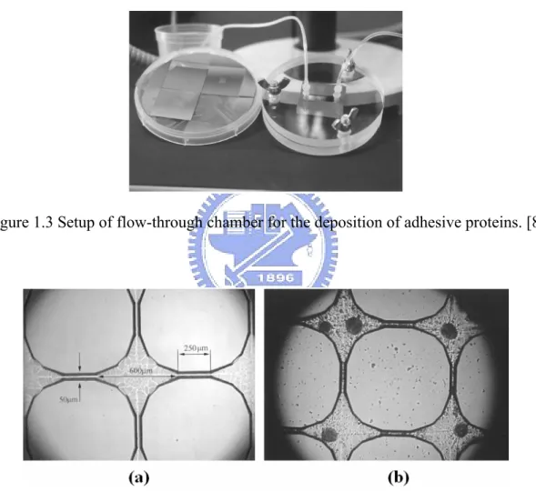 Figure 1.3 Setup of flow-through chamber for the deposition of adhesive proteins. [8] 