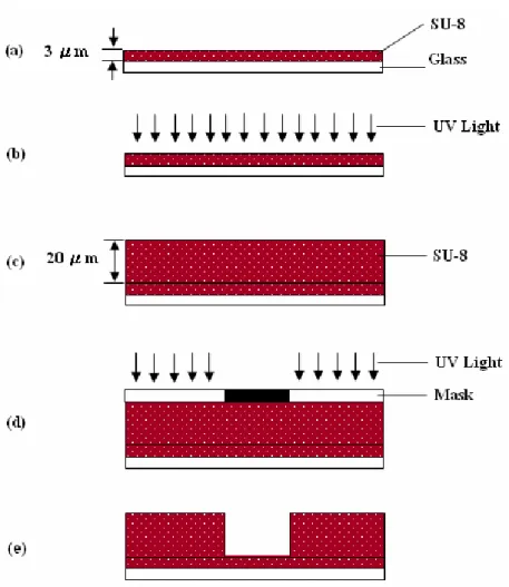 Figure 2.4 Micromachined fabrication processes of open-top SU-8 microfluidic channel. 