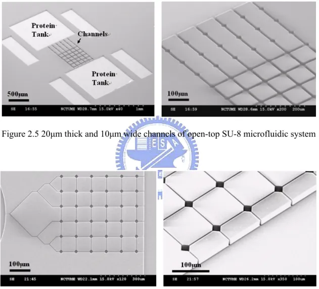 Figure 2.5 20µm thick and 10µm wide channels of open-top SU-8 microfluidic system 