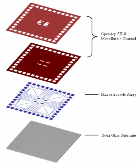 Figure 2.7 Micromachined open-top SU-8 microfluidic channel with MEA. 