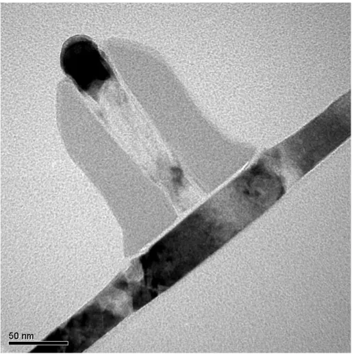 圖 1-5：全空乏型三閘極鰭狀電晶體的剖面穿透式電子顯微鏡照片 [11]。 