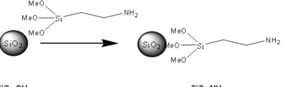 圖 34 Synthesis SiO 2 -NH 2  Nano-particles 