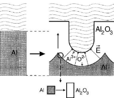 Figure 2.8 Expansion of aluminum during anodic oxidation. On the left the level of  the unoxidized metal surface is depicted