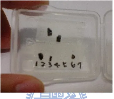 Figure 2-1: The HoMnO 3  single crystals used in this study. The largest surface  is around 3×3 mm 2  and the thickness of this crystal is about 0.5 mm 