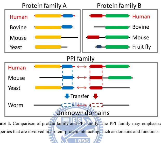 Figure 1. Comparison of protein family and PPI family.  Protein family A Protein family B Human Human Bovine Mouse Yeast BovineMouse Fruit fly 2Human PPI family Unknown domainsMouseYeastWormTransfer     Figure 1