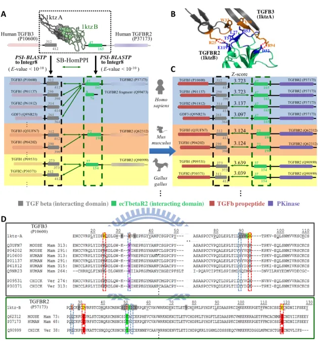Figure 5. Framework of the SB-HomPPI approach. 261 364 1ktz A 1ktz B Human TGFBR2              (P37173)A31241247165Human TGFB3   (P10600) B TGFB3 (P10600)  312 412 TGFBR2 (P37173)47165314414TGFB2 (P61812)290390TGFB1 (P01137) 312 412TGFB2 (P30371) 37 154 TG