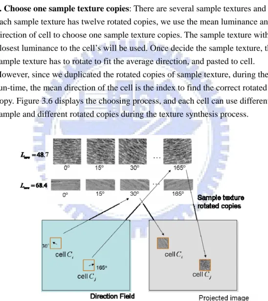 Figure 3.6 The example to choose sample texture. The cell direction comes from  the direction field within the area of the cell