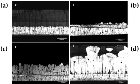 Fig 5.8 Cross-sectional CL 的圖片 (a) 3.3  o C/min. (b) 1.7  o C/min. (c) 1.0  o C/min. (d) 0.8  o C/min