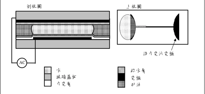 圖 2-5 LDEP 示意圖AC 側視圖  上視圖  液介電泳電極 矽油 電極 介電層 疏水層  水  玻璃基板 