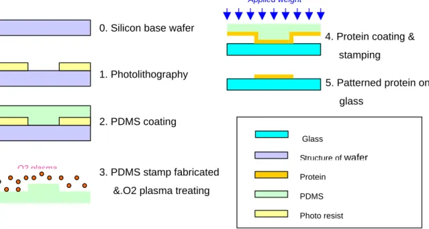 Figure 1.1 Schematic illustration of the procedure of Micro Contact Printing [4] 