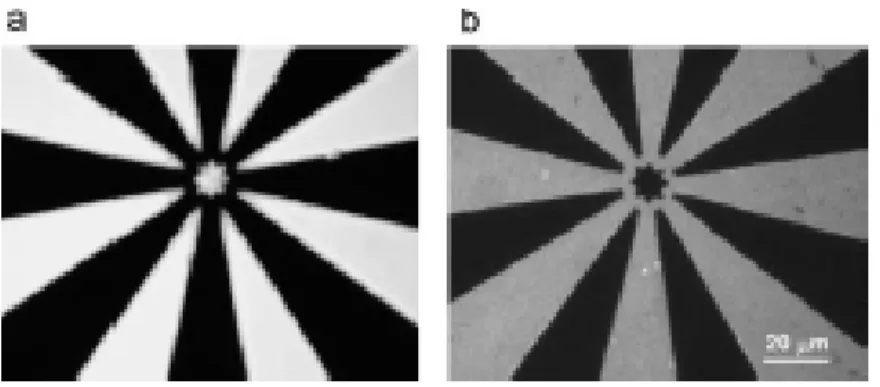 Figure 1.7 Photoresist test structure (a) and the corresponding protein pattern (b)  generated in a lift-off process [4]