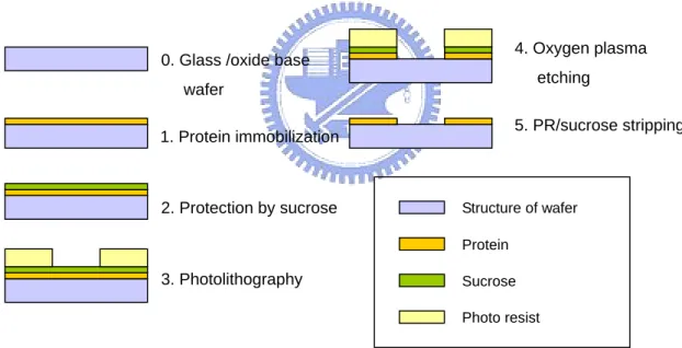 Figure 1.8 Schematic illustration of the procedure of Plasma-etching method [2]           