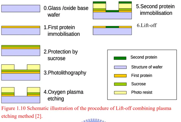 Figure 1.10 Schematic illustration of the procedure of Lift-off combining plasma  etching method [2]