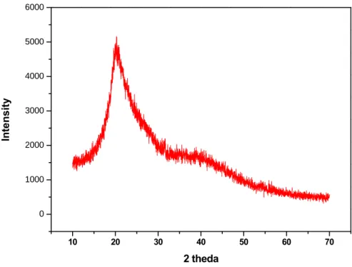 Figure 3.13 X-ray diffraction pattern of silica-CHC. 