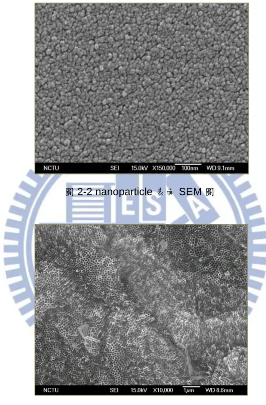 圖 2-2 nanoparticle 表面 SEM 圖 