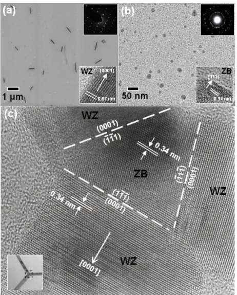 Figure 3. TEM images of (a) WZ CdS and (b) ZB Te-doped CdS nanocrystals obtained at the early  stage of the solvothermal process
