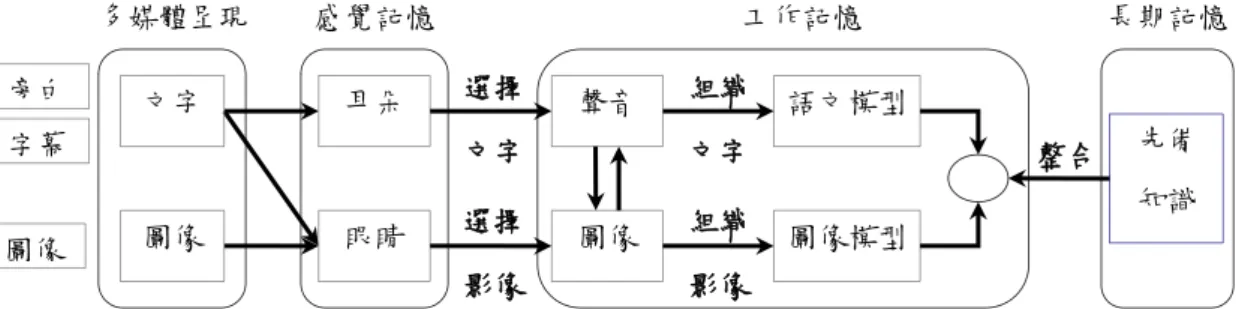 圖  4 多媒體學習理論的認知模型 