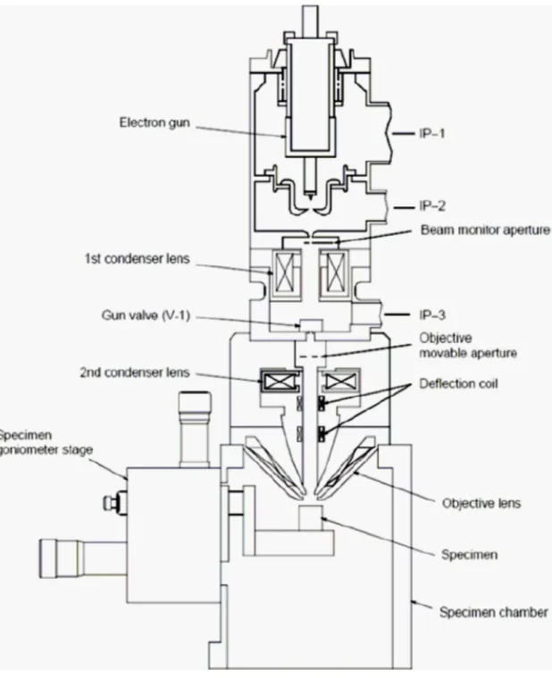 Figure 3-10. Schematic of SEM [35] 