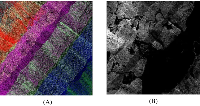 Figure 3.6 (A) Point cloud distribution with attribute of flight strip source ID.  (B) Density map of multiple-return echoes with r=1.414m, grid spacing = 1m