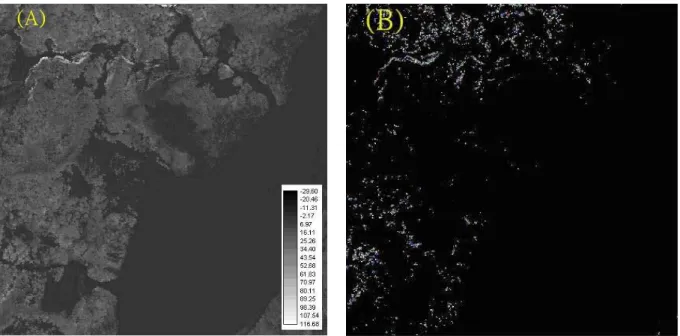 Figure 3.7 (A) Gray map of nDSM of the study area.    (B) Distribution of the  locations of points with extra-ordinary values