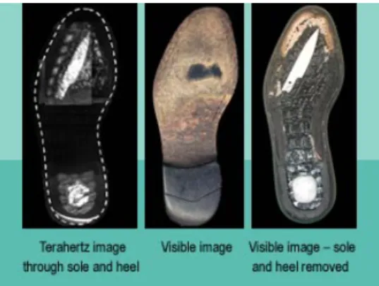 Figure 1.2: A demonstration of terahertz image through sole and heel.[1]