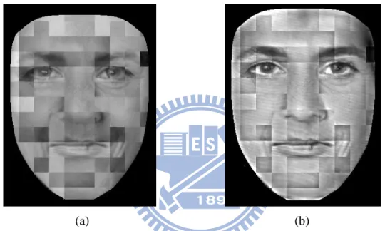 Figure 5. 2 (a) The skin texture (b) The target image with the transferring skin  texture