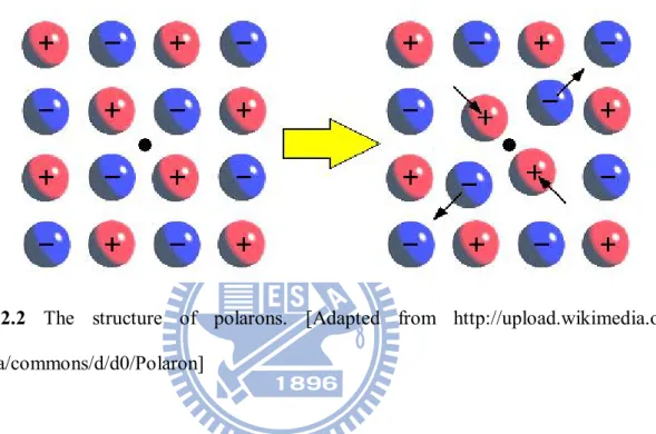 Figure  2.2  The  structure  of  polarons.  [Adapted  from  http://upload.wikimedia.org/  wikipedia/commons/d/d0/Polaron] 