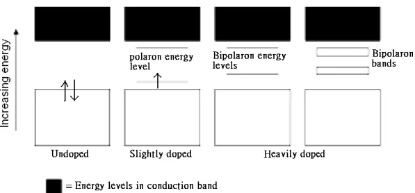 Figure 2.3 The origin of polaron in energy band [8]. 