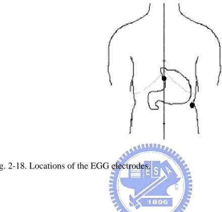 Fig. 2-18. Locations of the EGG electrodes. 