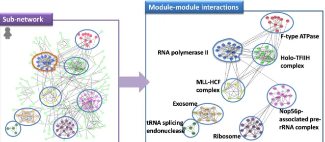 Figure  2. Module  performs  in  a  certain  kind  of  process  and  relatively autonomous  with  respect  to  other  parts of the protein-protein interaction network
