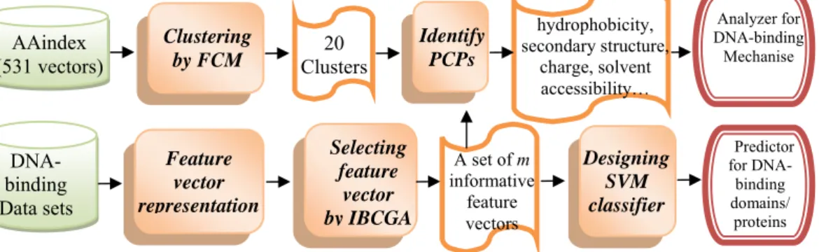 Figure 2  -The system flowchart of the proposed approach Auto-IDPCPs.