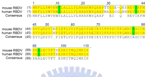 Figure 2. Sequence alignment of human and mouse receptor binding domain of  VEGF. The amino acid sequence of mouse VEGF was obtained from NCBI protein  database (NCBI No: NP_001020421)