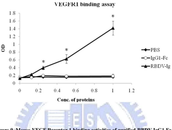 Figure 9. Mouse VEGF Receptor 1 binding activities of purified RBDV IgG1 Fc.  The binding activity of the purified RBDV-IgG1 Fc to immobilized mouse VEGFR-1
