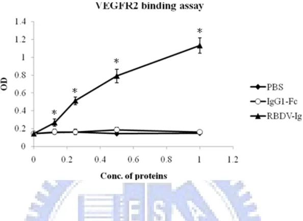 Figure 10. Mouse VEGF Receptor 2 binding activities of purified RBDV IgG1 Fc.  The binding activity of the purified RBDV-IgG1 Fc to immobilized mouse VEGFR-2