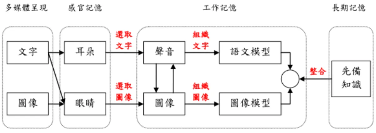 圖 10 多媒體學習理論的認知模型  資料來源：廖真瑜  (2011)。多元表徵應用於二元一次聯立方程式文字題列式教 學之研究  (頁  9 )，國立交通大學，新竹市。  經 過 感 官 通 道 後 ， 會 依 序 進 行 三 種 認 知 處 理 過 程 ， 分 述 如 下 ： 1