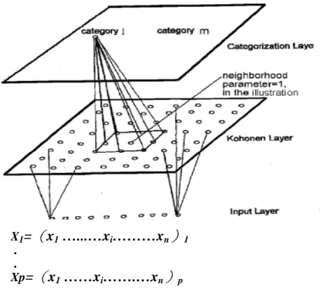 Figure 7. The architecture of SOM network 