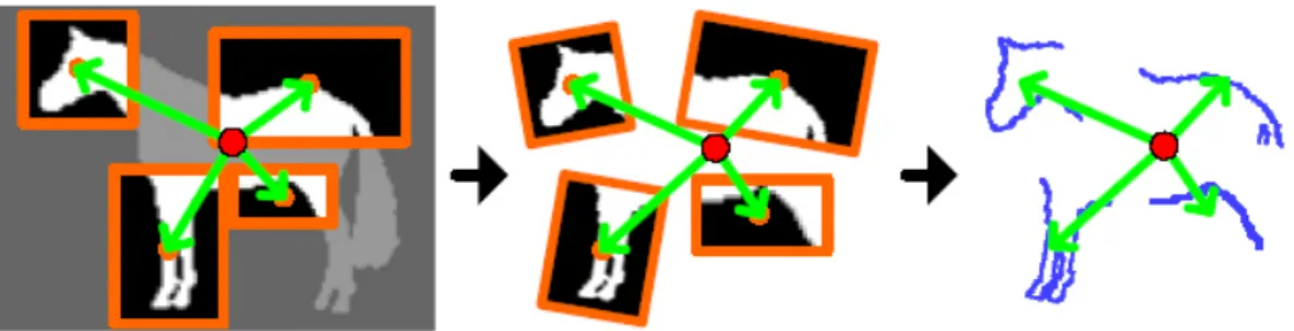 Fig. 3.8 The Contour fragment representation of a horse presented in [21]. They use  gentle-boosting to train the most discriminating fragments of the object’s contour, and build a  star-skeleton model according to the center of mass