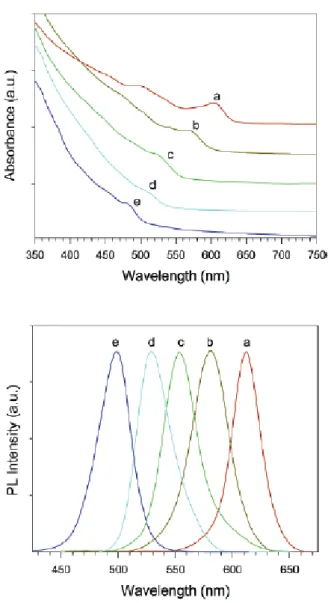 Figure 1.1: Absorption (top) and PL spectra with λ ex =365 nm (bottom)  for the Cd 1-x Zn x Se nanocrystals with Zn fractions of (a) 0, (b) 0.28, (c)  0.44, (d) 0.55, and (e) 0.67