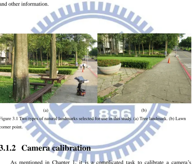 Figure 3.1 Two types of natural landmarks selected for use in this study. (a) Tree landmark