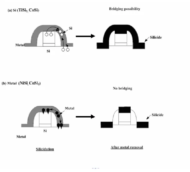 Fig. 1.3 With/without bridging phenomenon of metal silicides. 