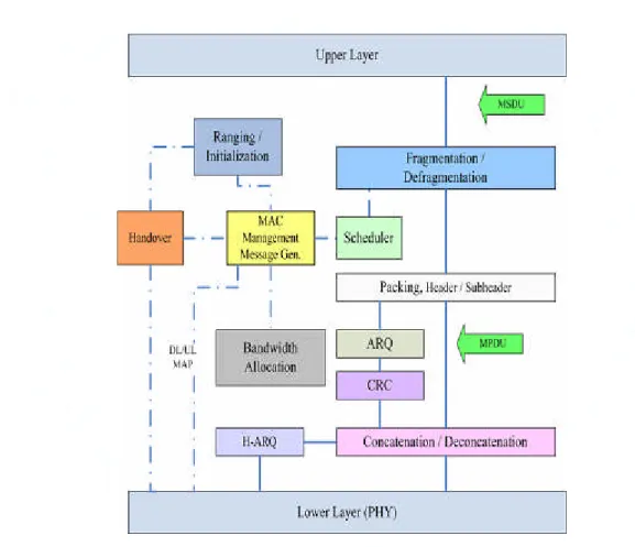 Figure 3 WiMAX MAC Architecture.