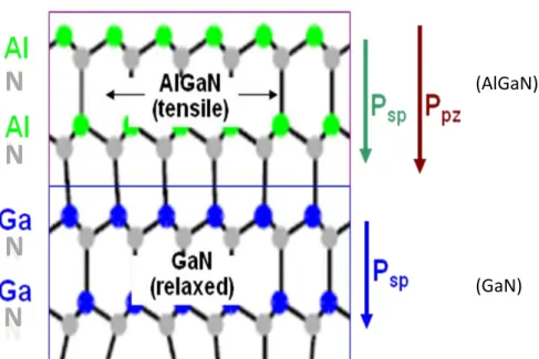 Fig.  1.1  (a)  Polarization  effect  on  the  AlGaN/GaN  structure.  P sp   and  P pz   are  spontaneous and piezoelectric polarizations, respectively