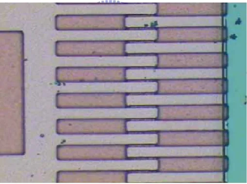Figure 3-7 AZ9260 after developed (the original comb gap is 4µm) 