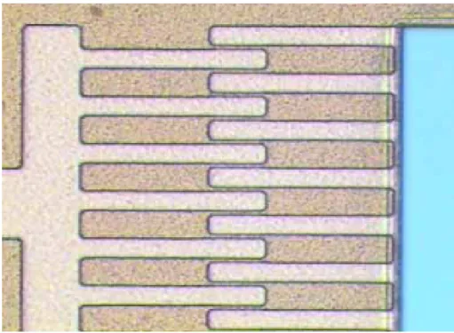 Figure 3-8 AZ9260 after developed by diluting the developer (the original comb gap is 4µm) 