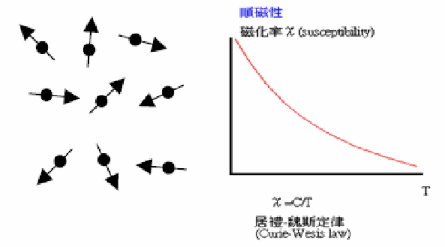 圖 2-1-1-5   順磁磁矩示意圖與χ -1 與T的關係圖 。 (2)鐵磁性(ferromagnetism，χ m >>1):  如圖2-1-1-6所示。未填滿電子軌域及未配對的電子，其自旋經由量子 力學效應而同向排列，產生磁偶極；鄰近原子間的交互作用，可這些 磁偶極耦合而傾向於相向，產生有序排列的結構(磁疇)，在外加磁場 的作用下，可形成很大塊的磁疇，產生很強的磁場。  χ -1 T