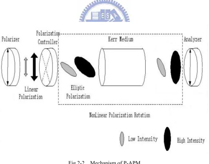Fig 2-2  Mechanism of P-APM 