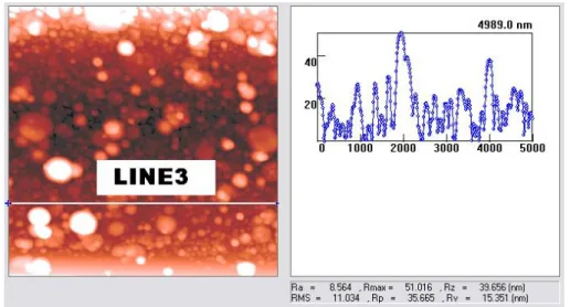 圖 3-12(c)  超快雷射所濺鍍 La 0.7 Ca 0.3 MnO 3 薄膜的 AFM 圖形 3 