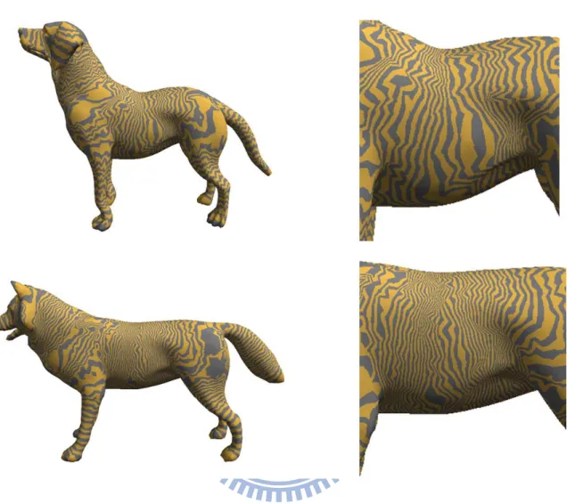 Figure 4.3: The visualization of the skeleton-to-surface mapping slices.